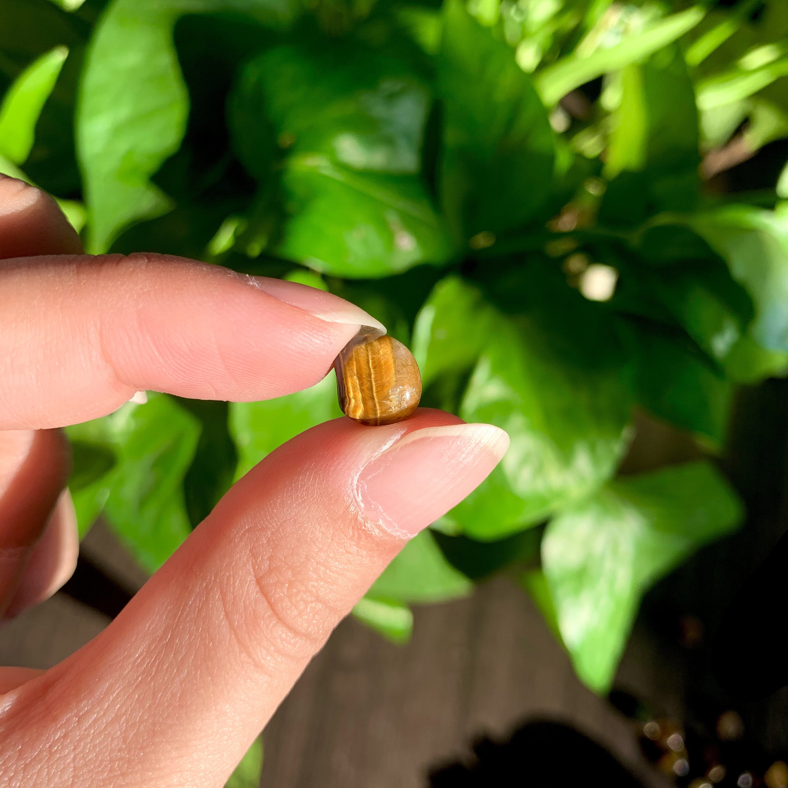 il_fullxfull.2913208250_svev