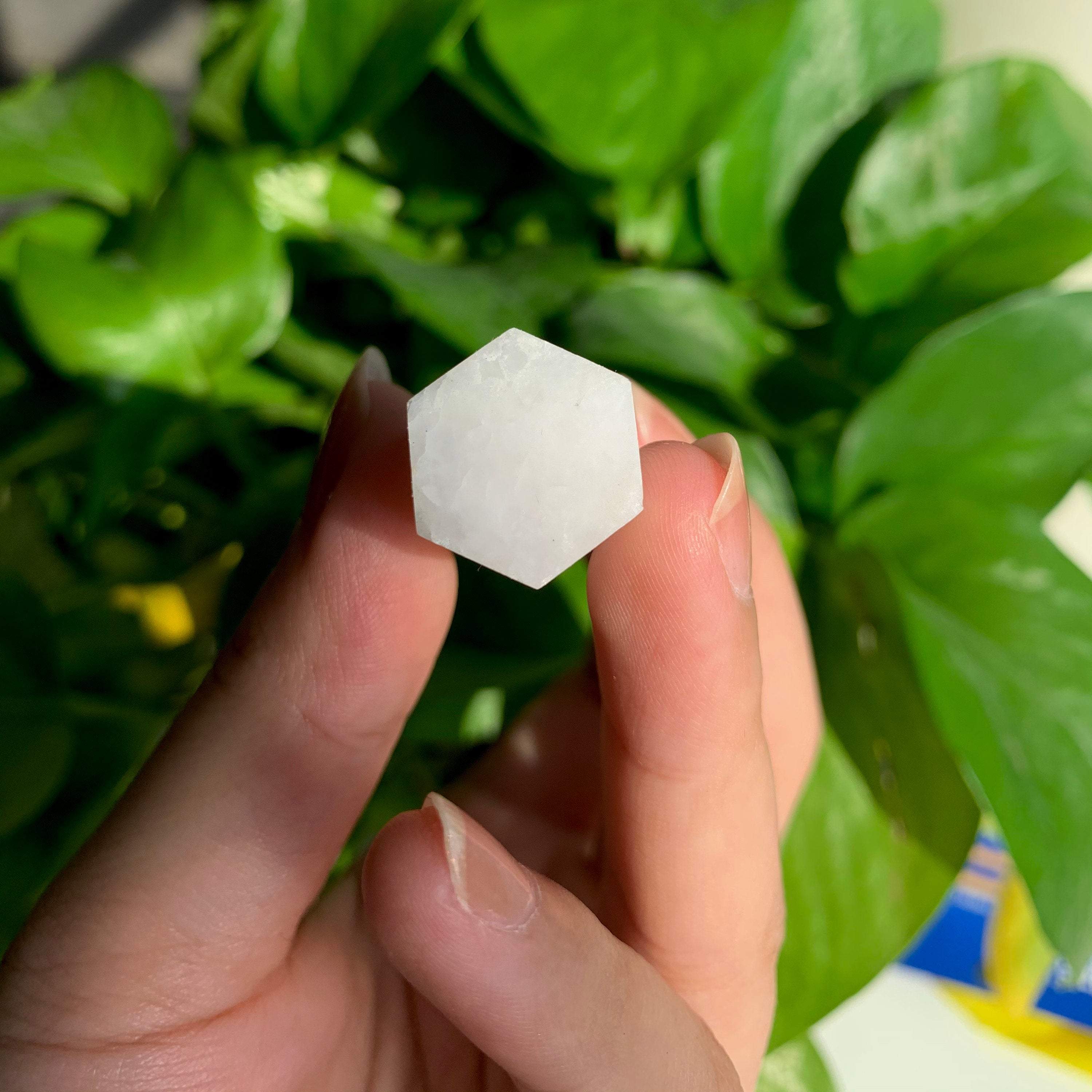 il_fullxfull.2923527298_f0o8