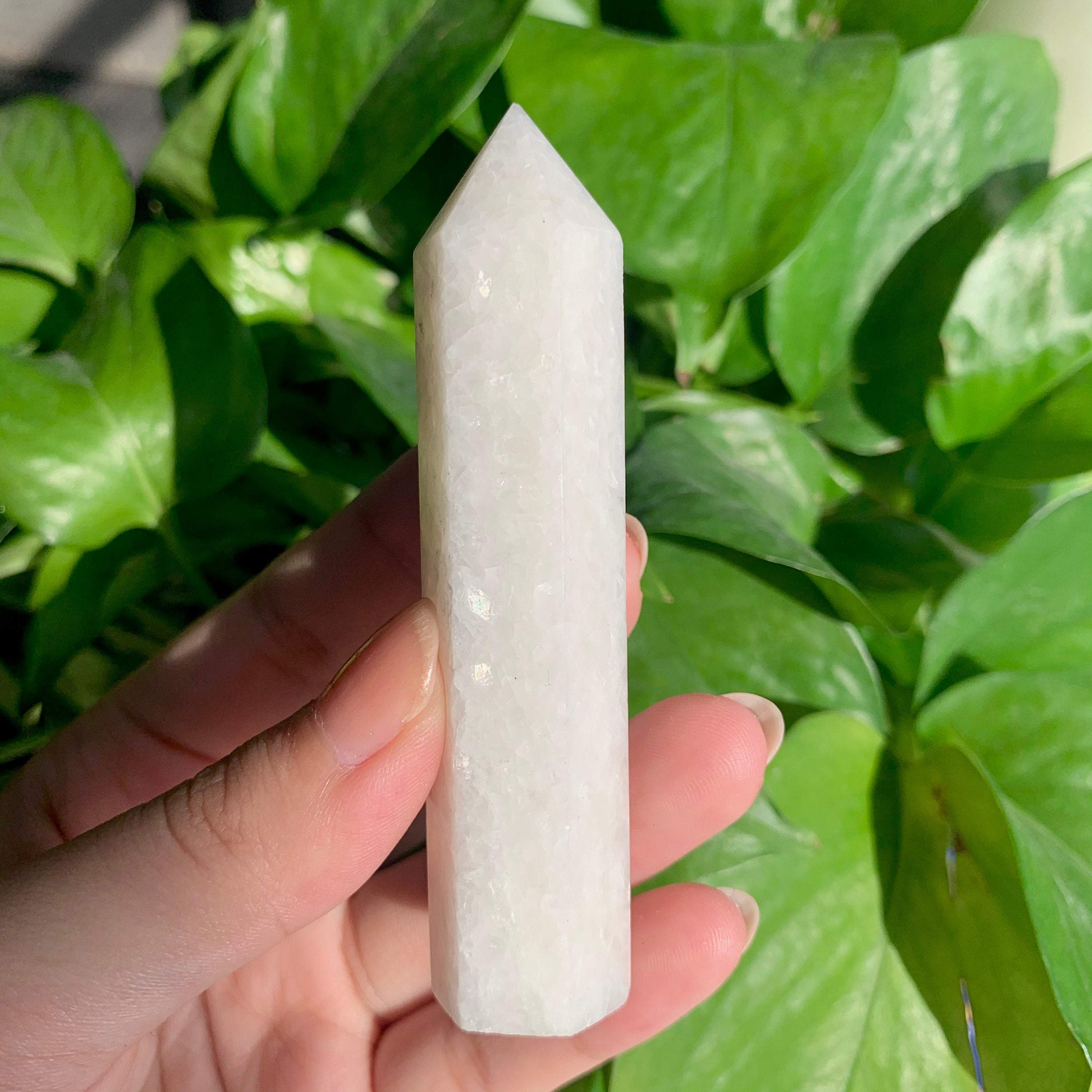 il_fullxfull.2923527324_etqt