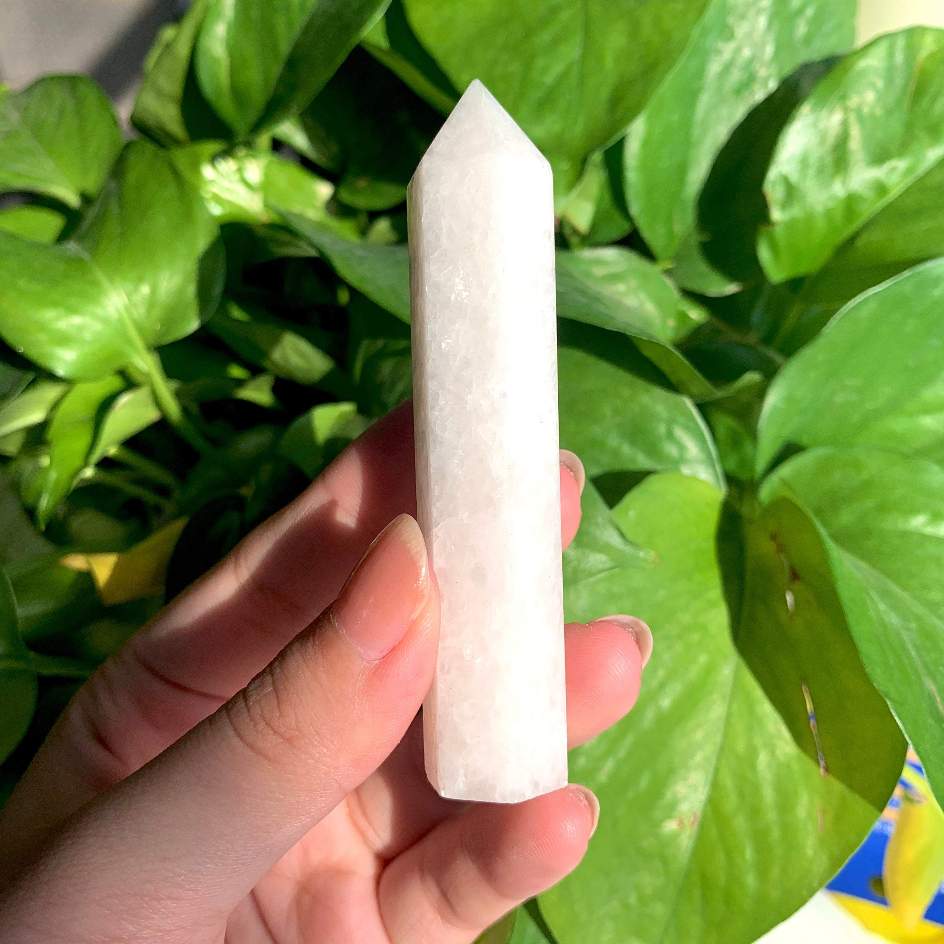 il_fullxfull.2923527332_a82z