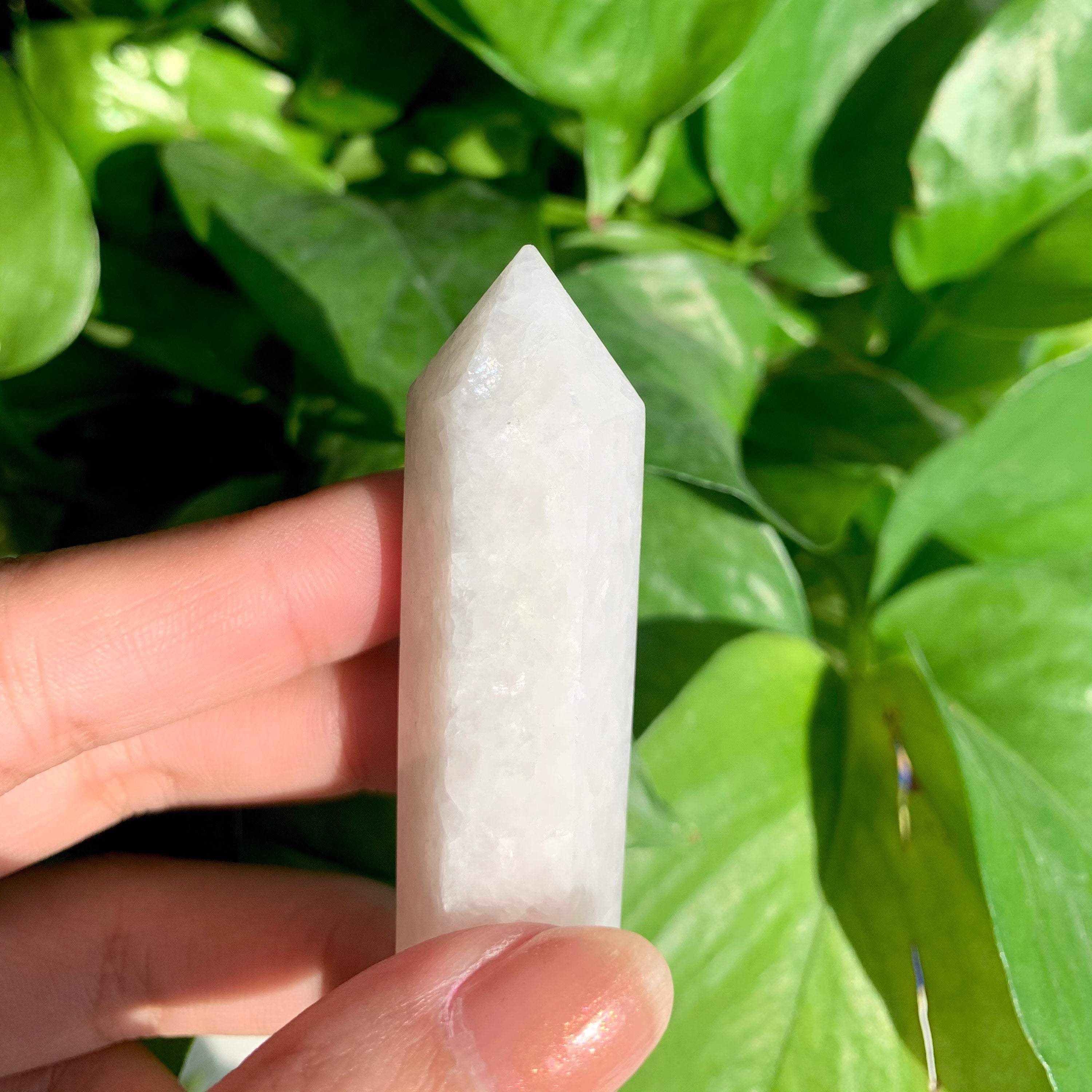 il_fullxfull.2923527348_pd1w