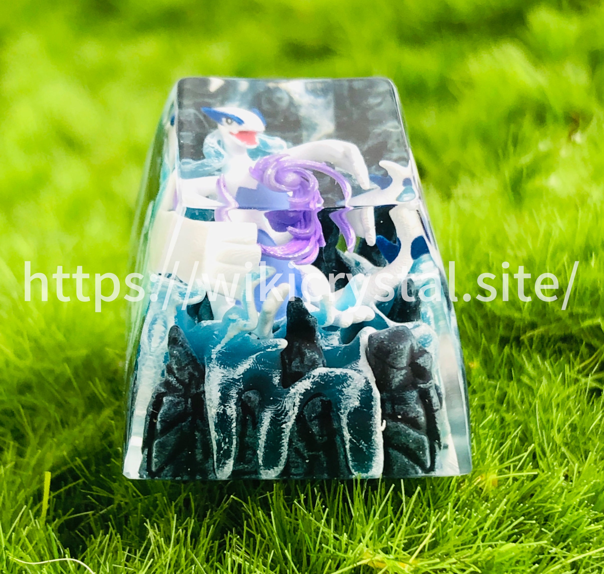 5_1ede629e-dcd2-44ee-9eb7-dbfe38ca68f8