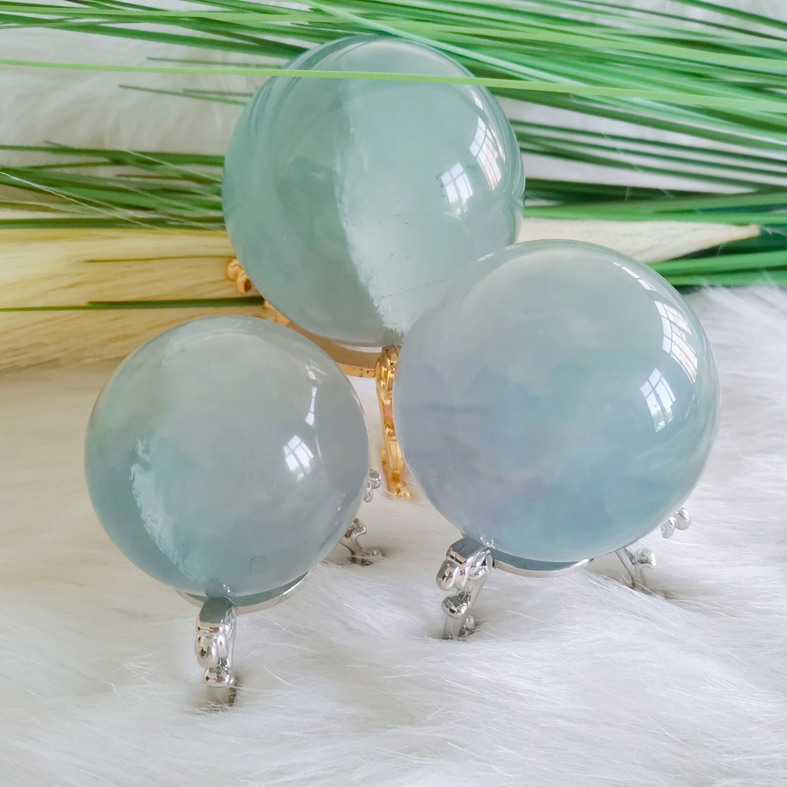 5_ed86aef6-a72b-4505-a385-a3c9d432135c