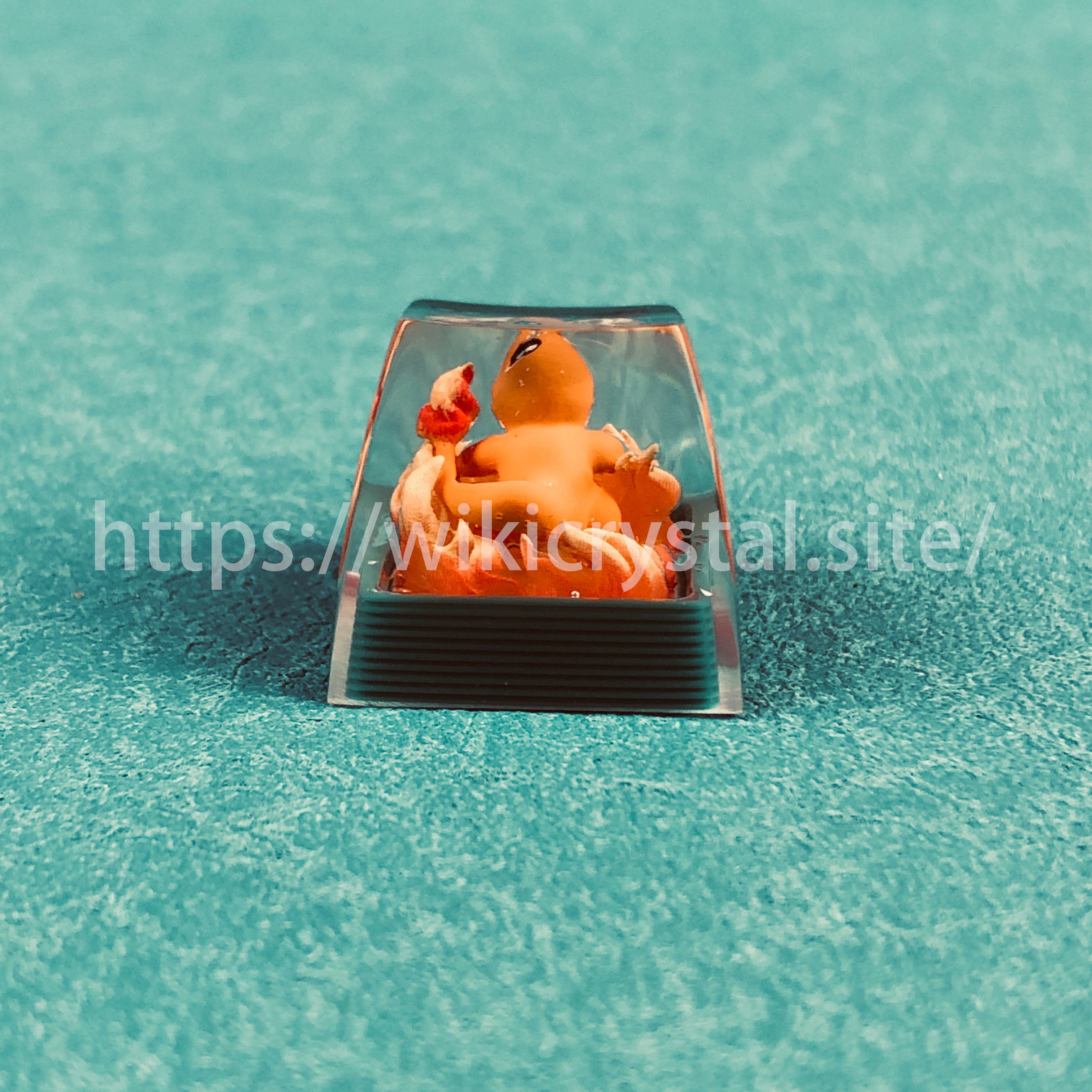 5_f071fb8b-3d9c-449c-aa0c-c38c2f883f59