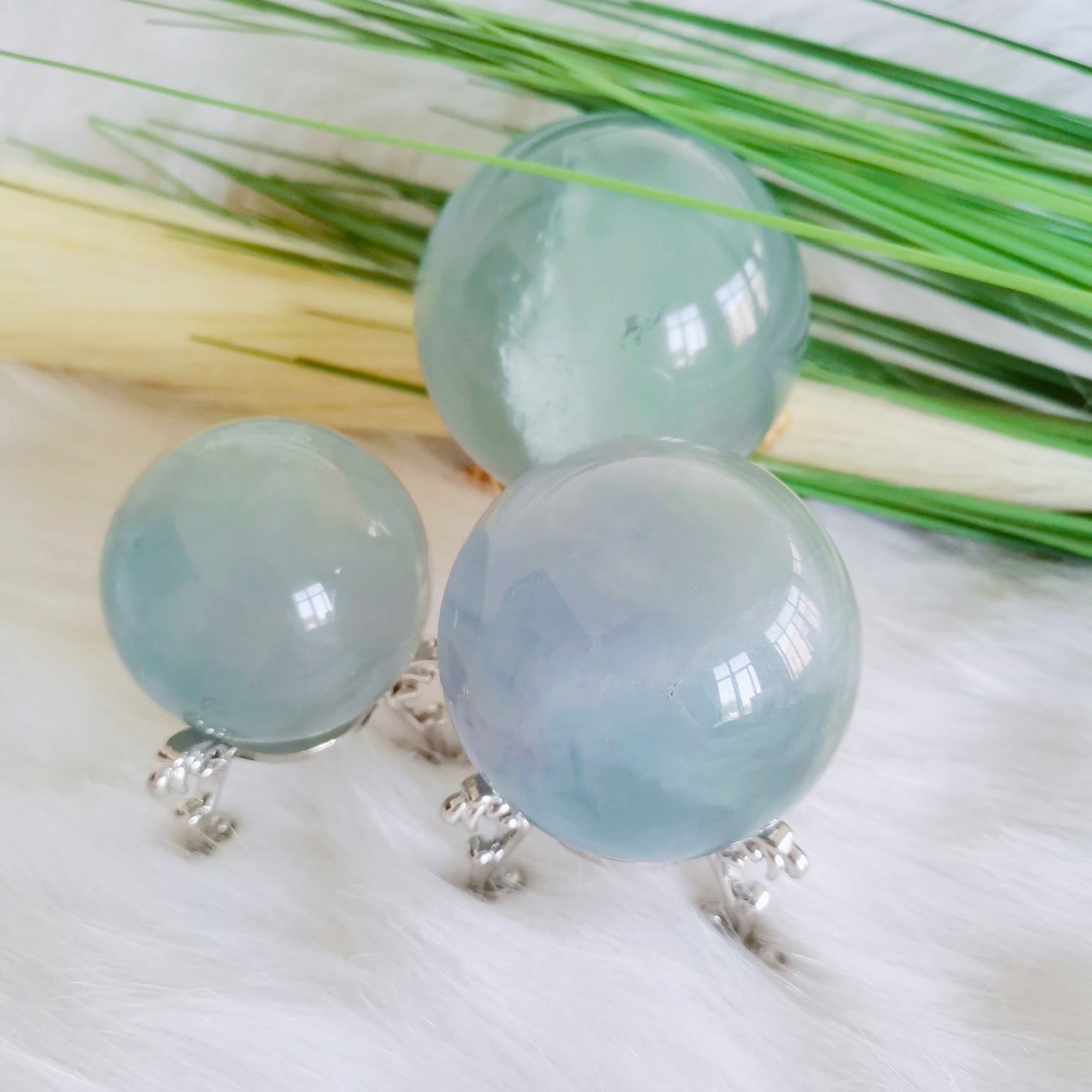 6_142468ea-a90d-4965-b477-914e76b68ebc