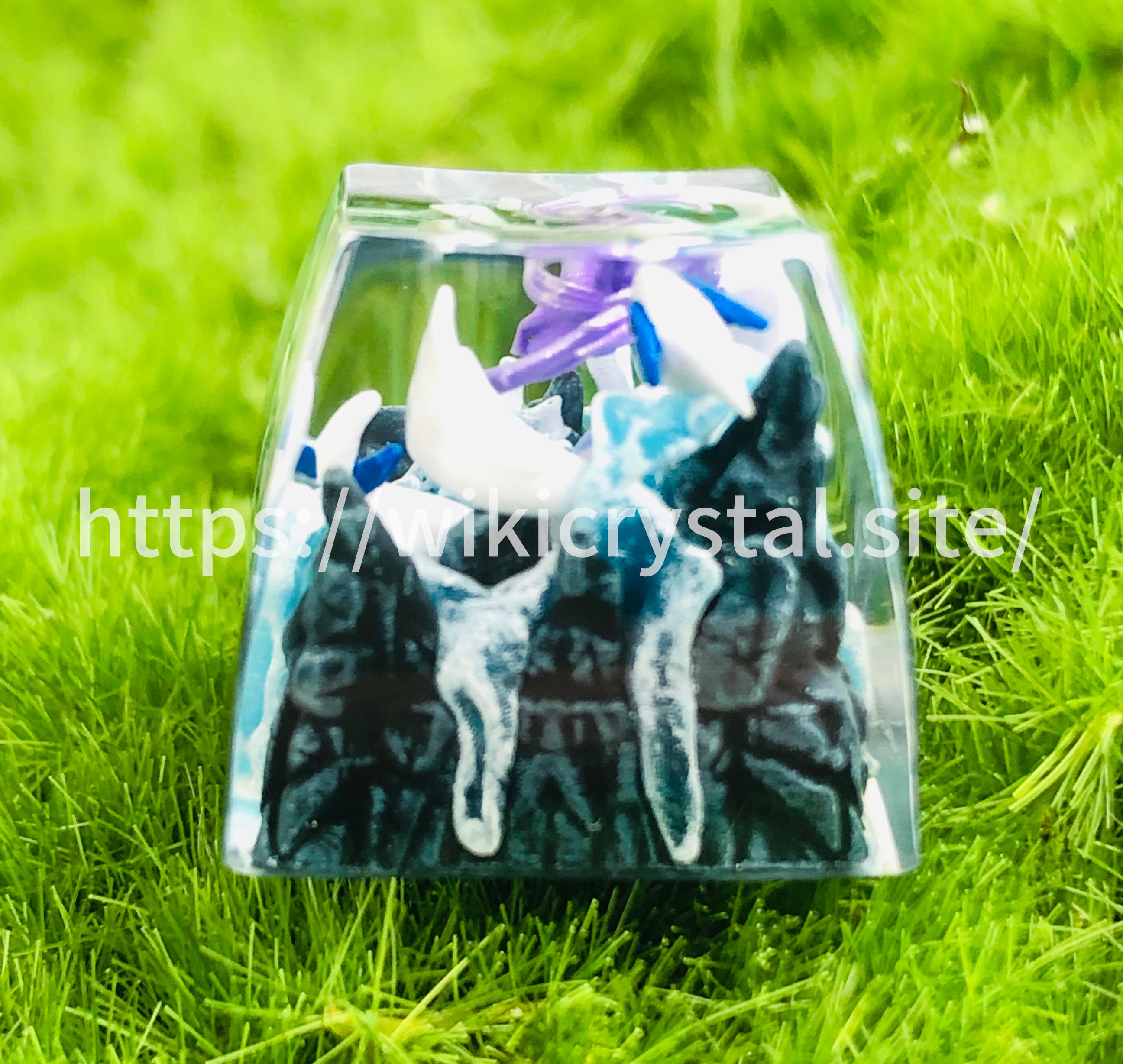 7_cf56741d-f519-4b77-b5a8-368a672f2c52